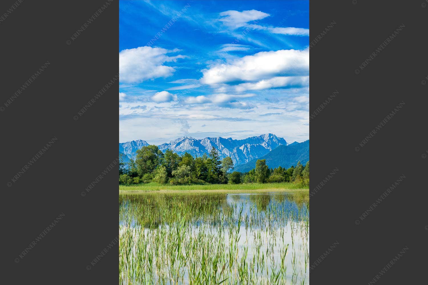 Überschwemmtes Feld nach Hochwasser bei Murnau mit Zugspitzmassiv - Überfluss 2:3  -- Murnau mit Alpspitze und Zugspitze - mehr Infos bei www.Kriner-Weiermann.de