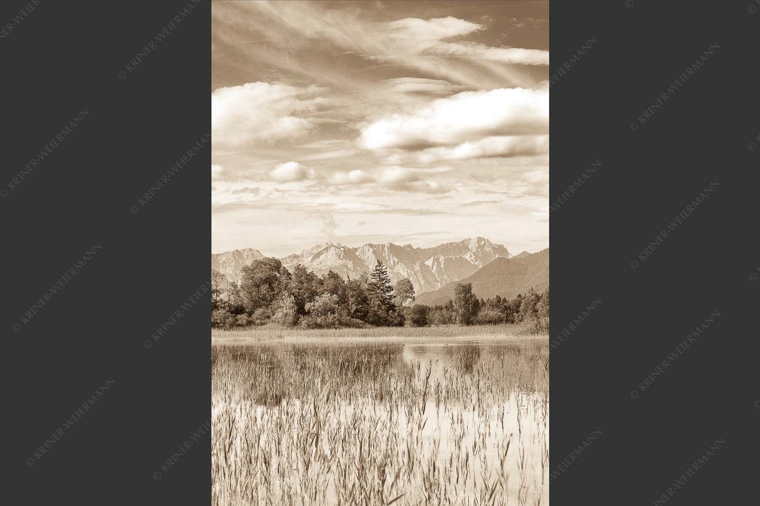 Überschwemmtes Feld nach Hochwasser bei Murnau mit Zugspitzmassiv - Überfluss 2:3 sepia -- Murnau mit Alpspitze und Zugspitze - mehr Infos bei www.Kriner-Weiermann.de