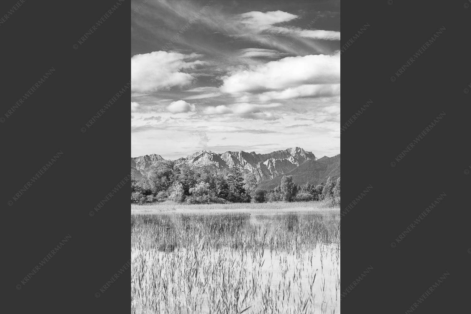 Überschwemmtes Feld nach Hochwasser bei Murnau mit Zugspitzmassiv - Überfluss 2:3 sw -- Murnau mit Alpspitze und Zugspitze - mehr Infos bei www.Kriner-Weiermann.de