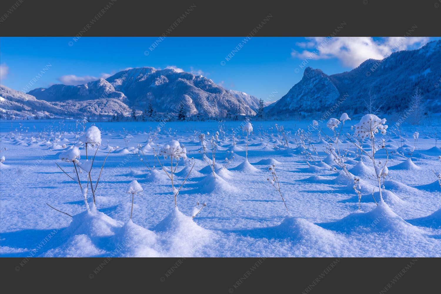 Winter im Moor bei Unterammergau - Unterammergau Winter I 2:1  -- Kofel mit Ammertal - mehr Infos bei www.Kriner-Weiermann.de
