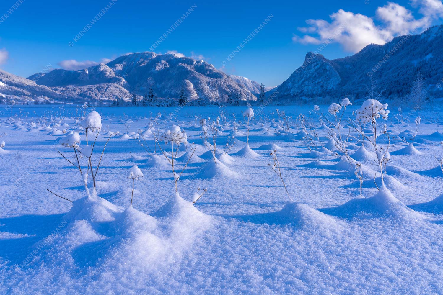 Winter im Moor bei Unterammergau - Unterammergau Winter I 3:2  -- Kofel mit Ammertal - mehr Infos bei www.Kriner-Weiermann.de
