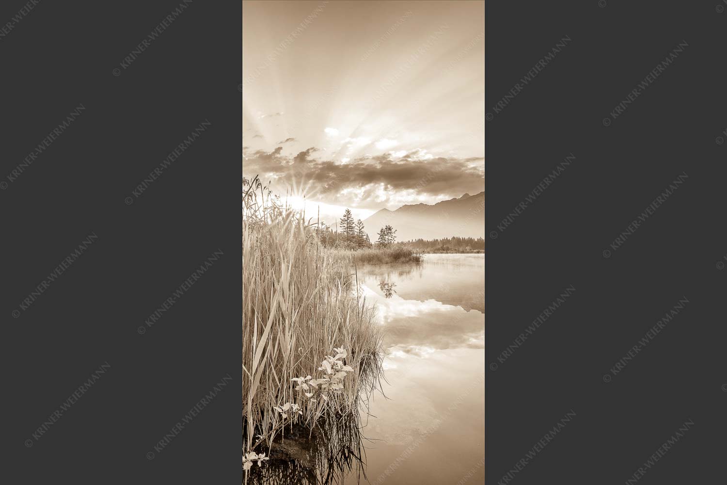 Sonnenaufgang am Barmsee mit Blick zum Karwendel und Wettersteingebirge - Utopia II 1:2 sepia -- Sonnenaufgang am Barmsee - mehr Infos bei www.Kriner-Weiermann.de