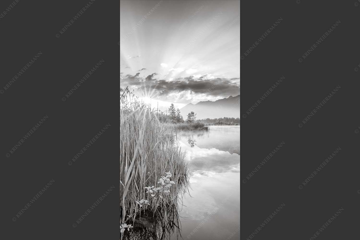 Sonnenaufgang am Barmsee mit Blick zum Karwendel und Wettersteingebirge - Utopia II 1:2 sw -- Sonnenaufgang am Barmsee - mehr Infos bei www.Kriner-Weiermann.de