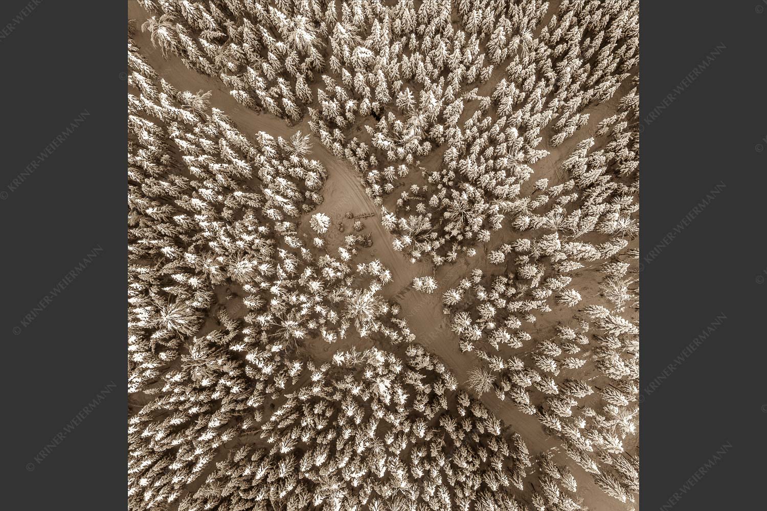 Blick auf Weg durch den stark verschneiten Wald bei Krün - Waldeinblicke 1:1 sepia -- Winterwald von Oben Draufsicht - mehr Infos bei www.Kriner-Weiermann.de
