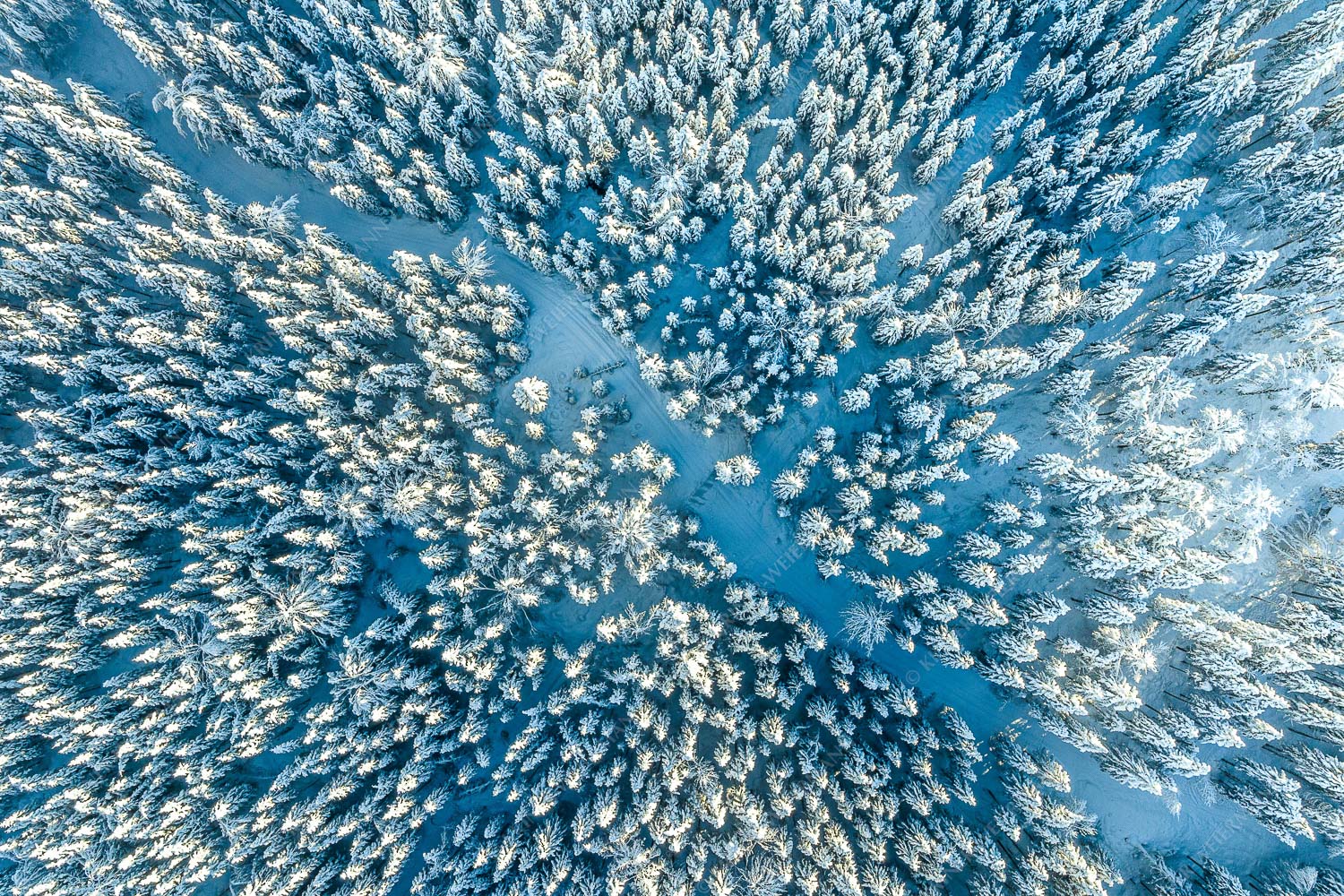 Blick auf Weg durch den stark verschneiten Wald bei Krün - Waldeinblicke 3:2  -- Winterwald von Oben Draufsicht - mehr Infos bei www.Kriner-Weiermann.de