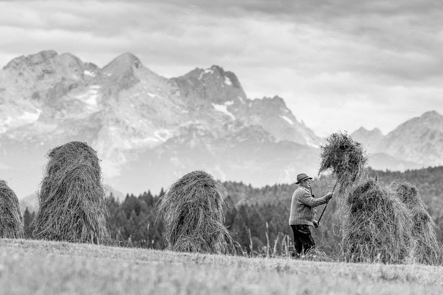 Stanker vor Zugspitzmassiv mit Hochblassen, Alpspitze, Zugspitze und Waxenstein - Wia friahra 3:2 sw -- Heuarbeit Heustankern - mehr Infos bei www.Kriner-Weiermann.de