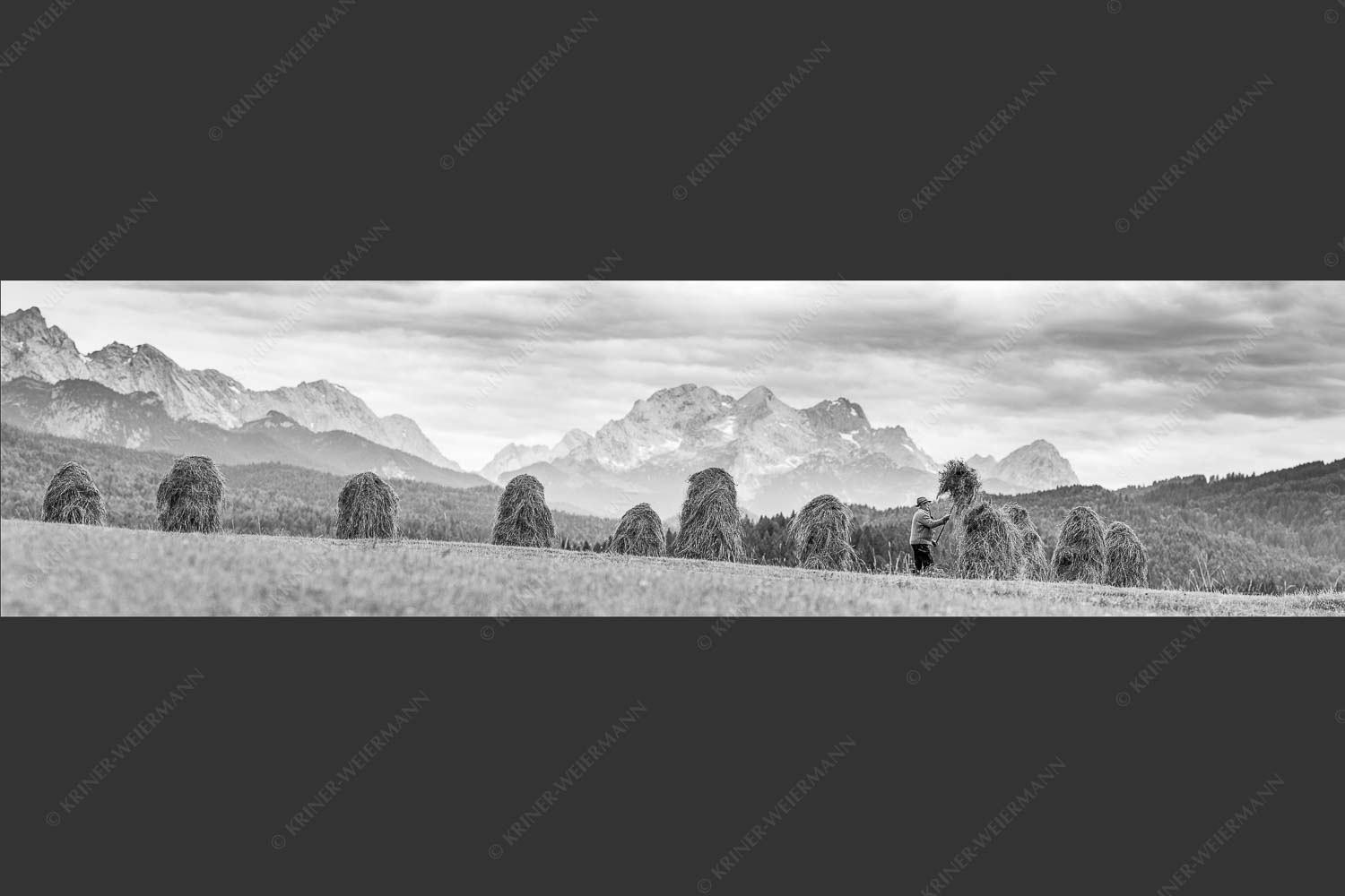 Stanker vor Zugspitzmassiv mit Hochblassen, Alpspitze, Zugspitze und Waxenstein - Wia friahra 4:1 sw -- Heuarbeit Heustankern - mehr Infos bei www.Kriner-Weiermann.de