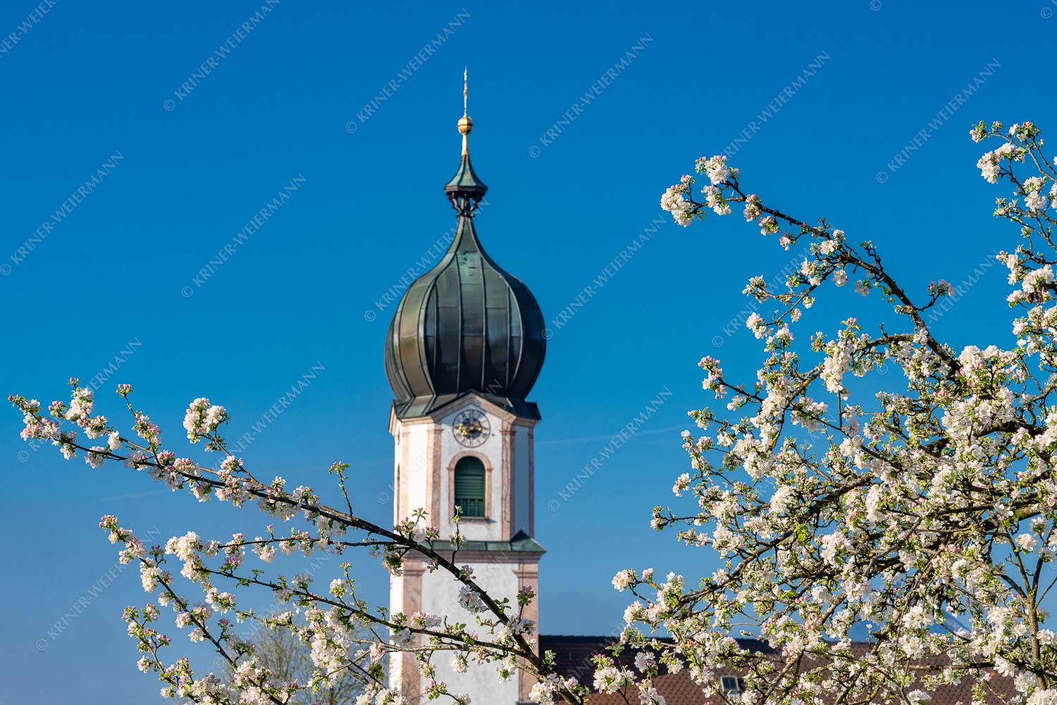 Kirche St. Sebastian in Krün - Apfelblüte Krün IV 3:2  -- Apfelbaum mit Krüner Kirche - mehr Infos bei www.Kriner-Weiermann.de