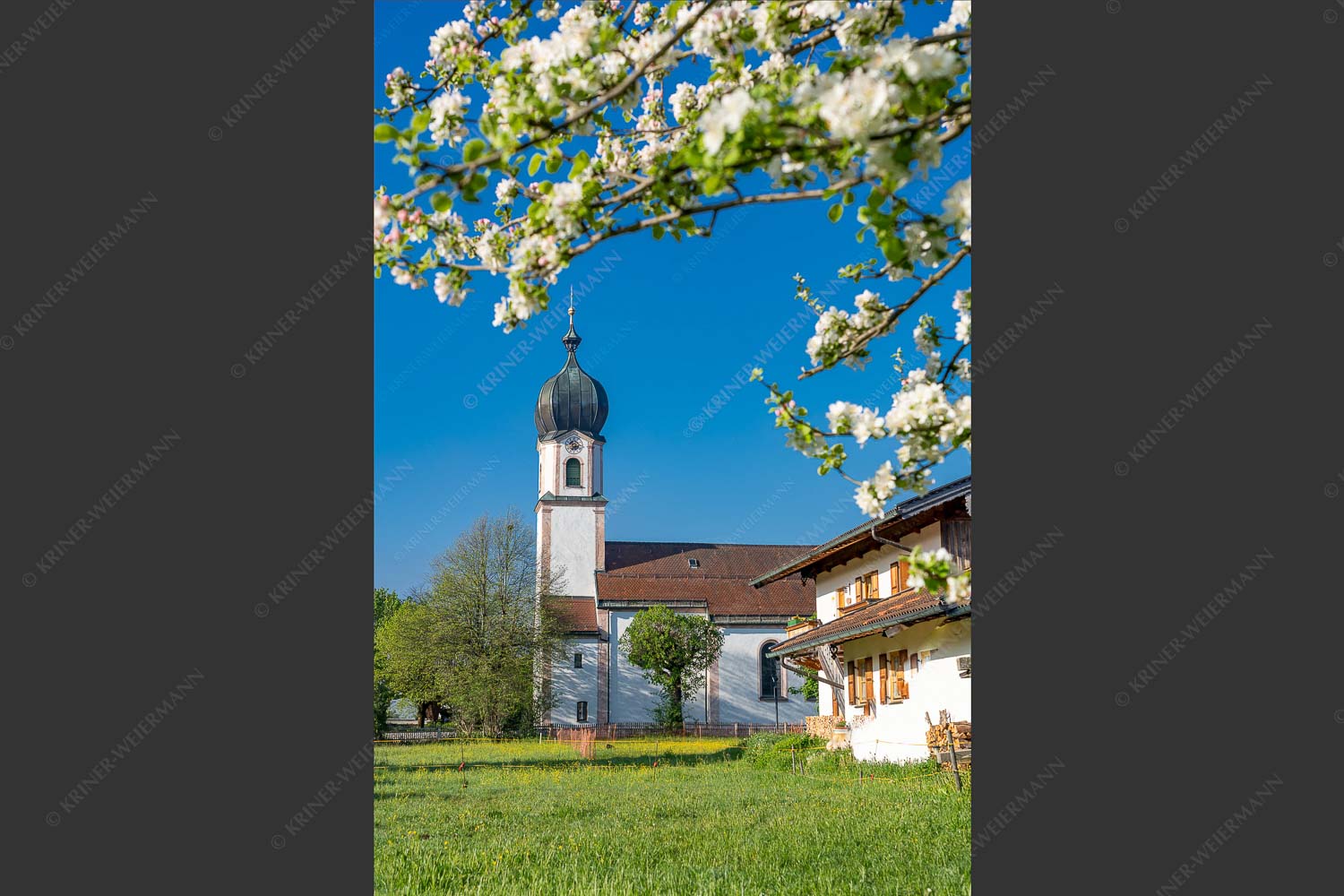 Kirche St. Sebastian in Krün - Apfelblüte Krün VI 2:3  -- Apfelbaum mit Haus und Kirche in Krün - mehr Infos bei www.Kriner-Weiermann.de