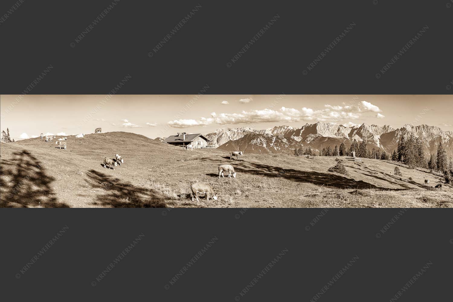 Blick über Krüneralm ins Karwendelgebirge - Auf da Krüneralm III 4:1 sepia -- Kälber und Alm mit Soierngebirge - mehr Infos bei www.Kriner-Weiermann.de
