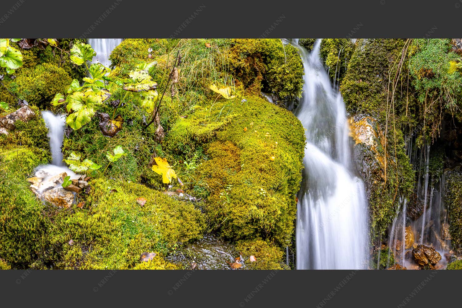 Bach im Johannestal im Karwendelgebirge - Bachdetail 2:1  -- Wasser und Moose - mehr Infos bei www.Kriner-Weiermann.de