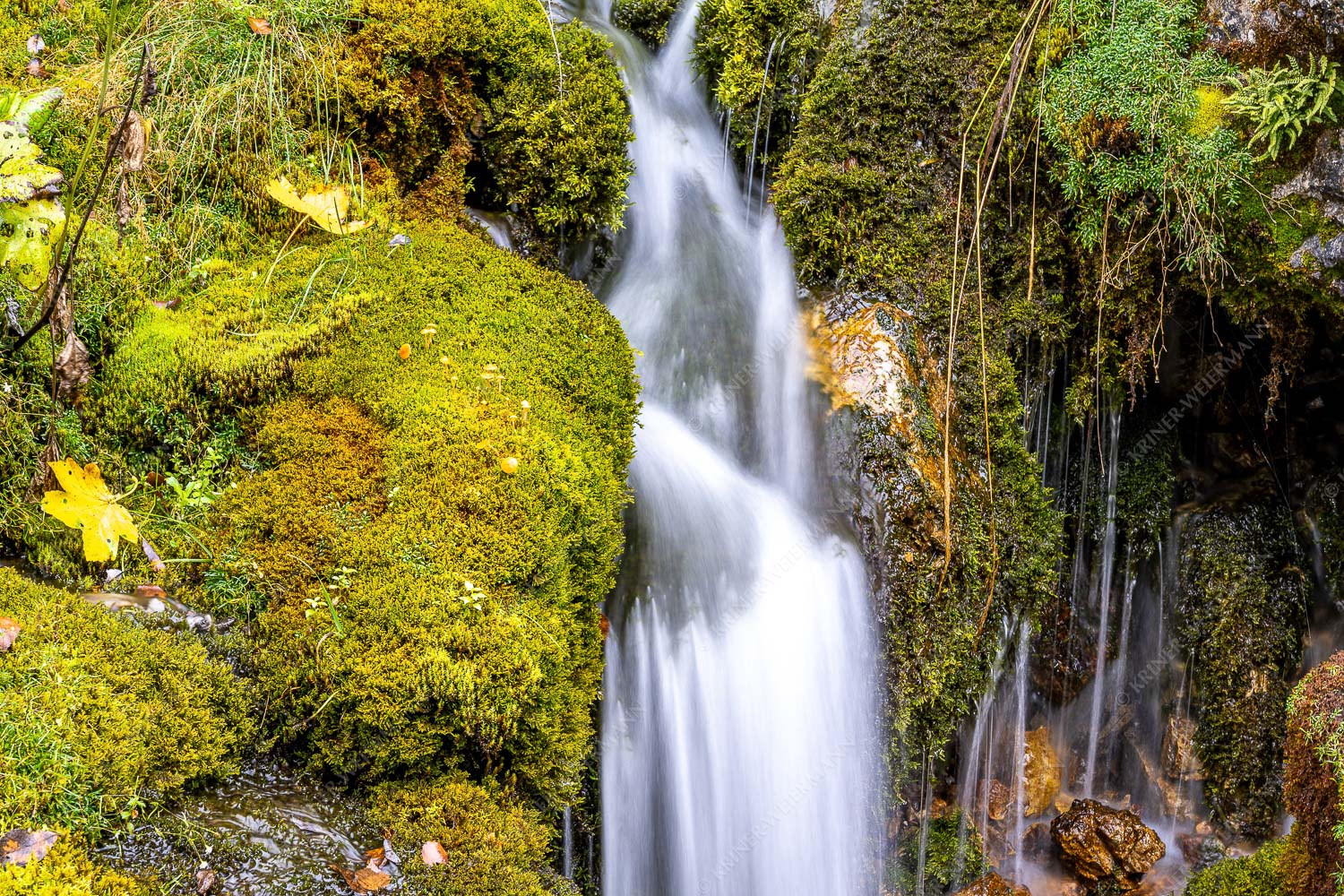 Bach im Johannestal im Karwendelgebirge - Bachdetail 3:2  -- Wasser und Moose - mehr Infos bei www.Kriner-Weiermann.de