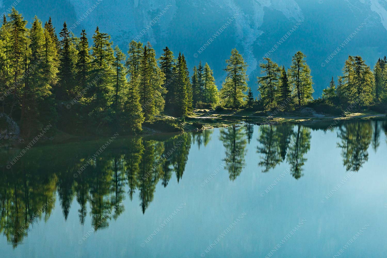 Spiegelungen am Seebensee in den Mieminger Bergen - Baumspiegel 3:2  -- Ufer am Seebensee - mehr Infos bei www.Kriner-Weiermann.de