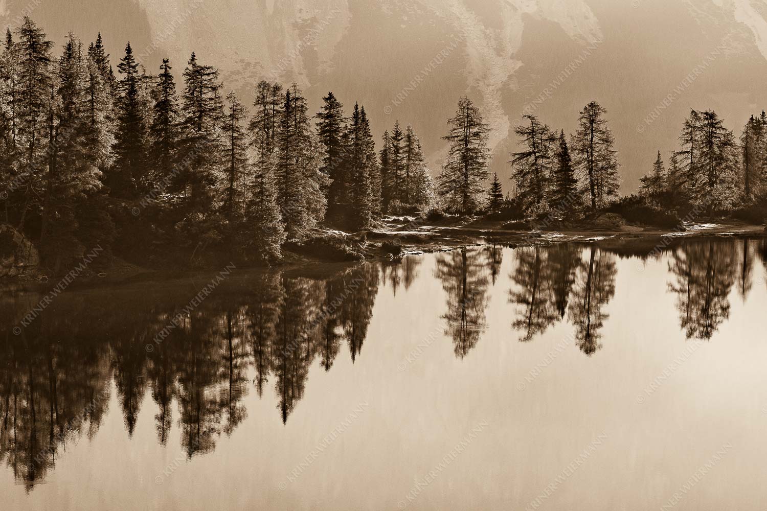 Spiegelungen am Seebensee in den Mieminger Bergen - Baumspiegel 3:2 sepia -- Ufer am Seebensee - mehr Infos bei www.Kriner-Weiermann.de