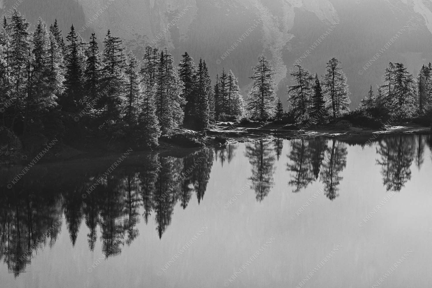 Spiegelungen am Seebensee in den Mieminger Bergen - Baumspiegel 3:2 sw -- Ufer am Seebensee - mehr Infos bei www.Kriner-Weiermann.de