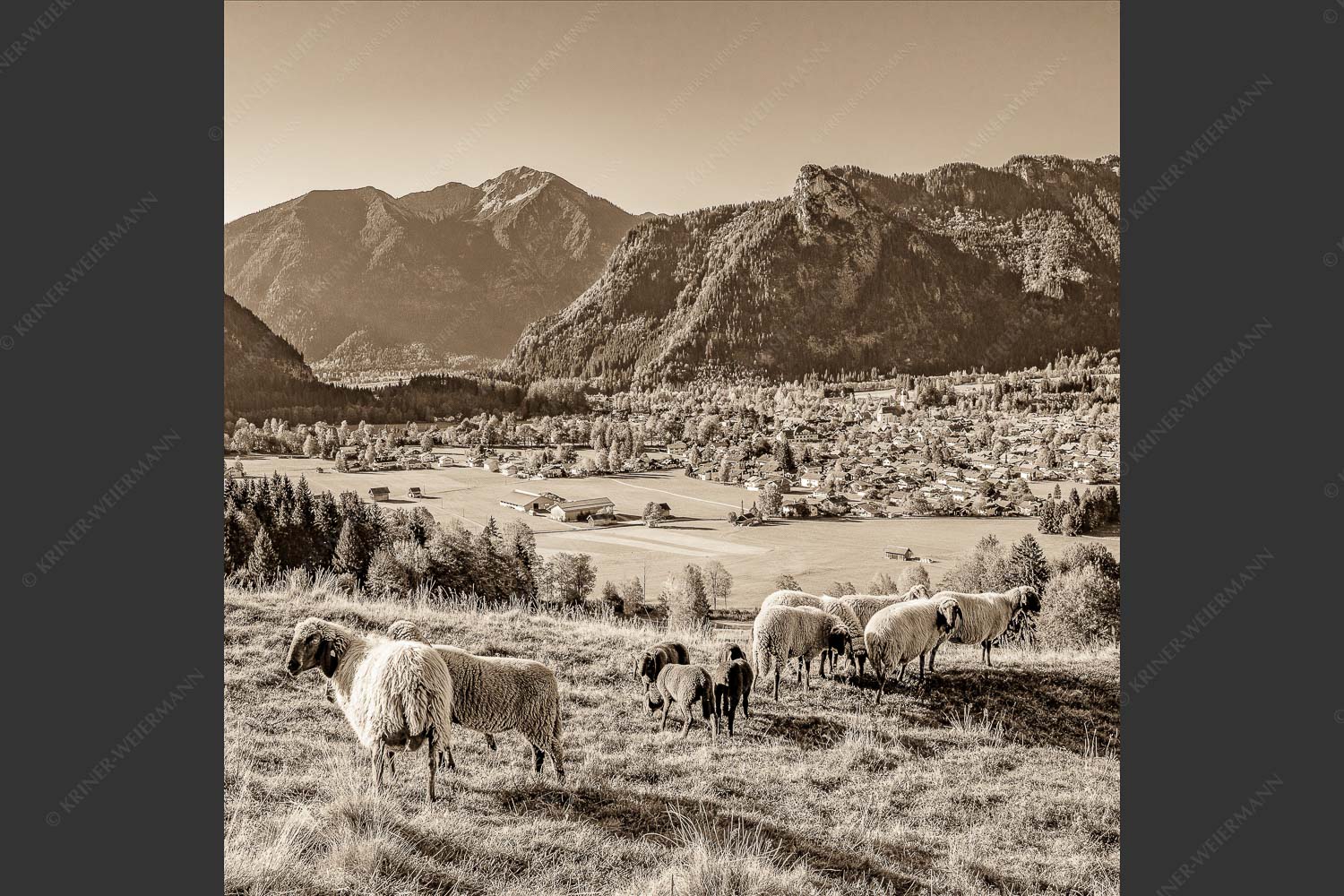 Blick über Oberammergau zum Kofel im Ammergebirge - Bergschafe Oberammergau 1:1 sepia -- Schafe mit Kofel - mehr Infos bei www.Kriner-Weiermann.de