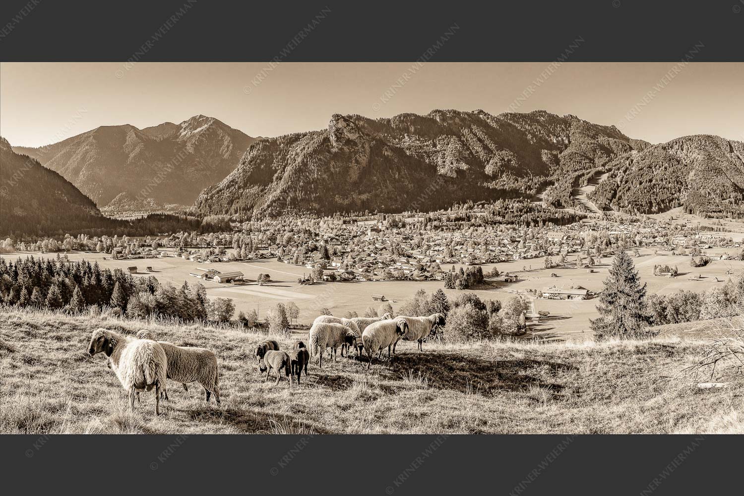 Blick über Oberammergau zum Kofel im Ammergebirge - Bergschafe Oberammergau 2:1 sepia -- Schafe mit Kofel - mehr Infos bei www.Kriner-Weiermann.de