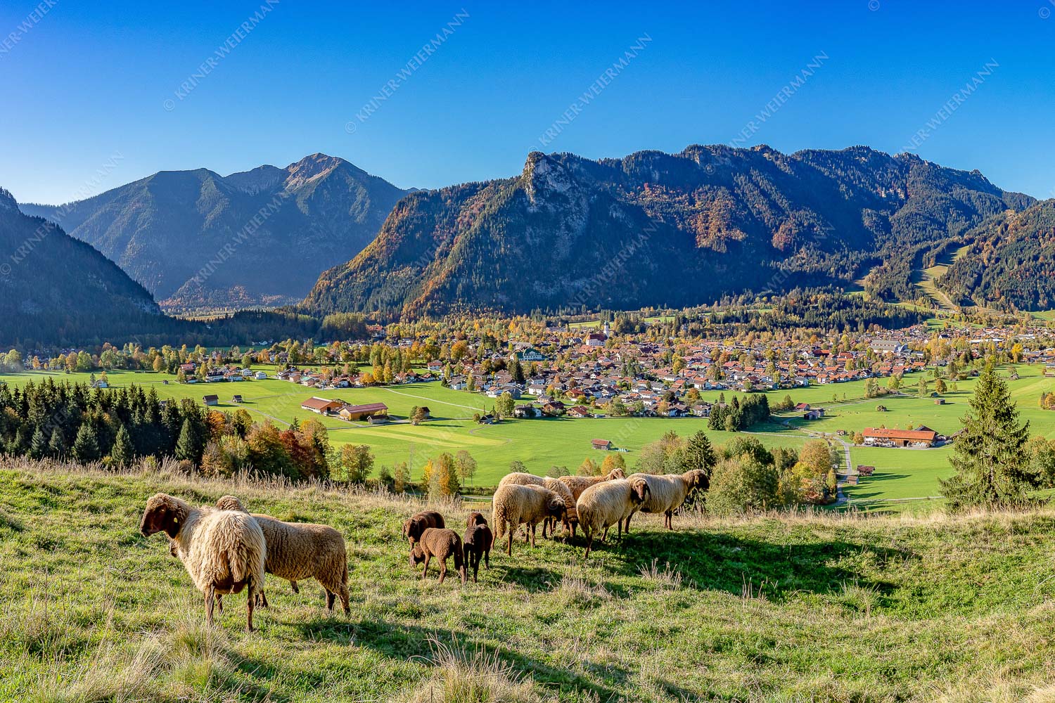 Blick über Oberammergau zum Kofel im Ammergebirge - Bergschafe Oberammergau 3:2  -- Schafe mit Kofel - mehr Infos bei www.Kriner-Weiermann.de