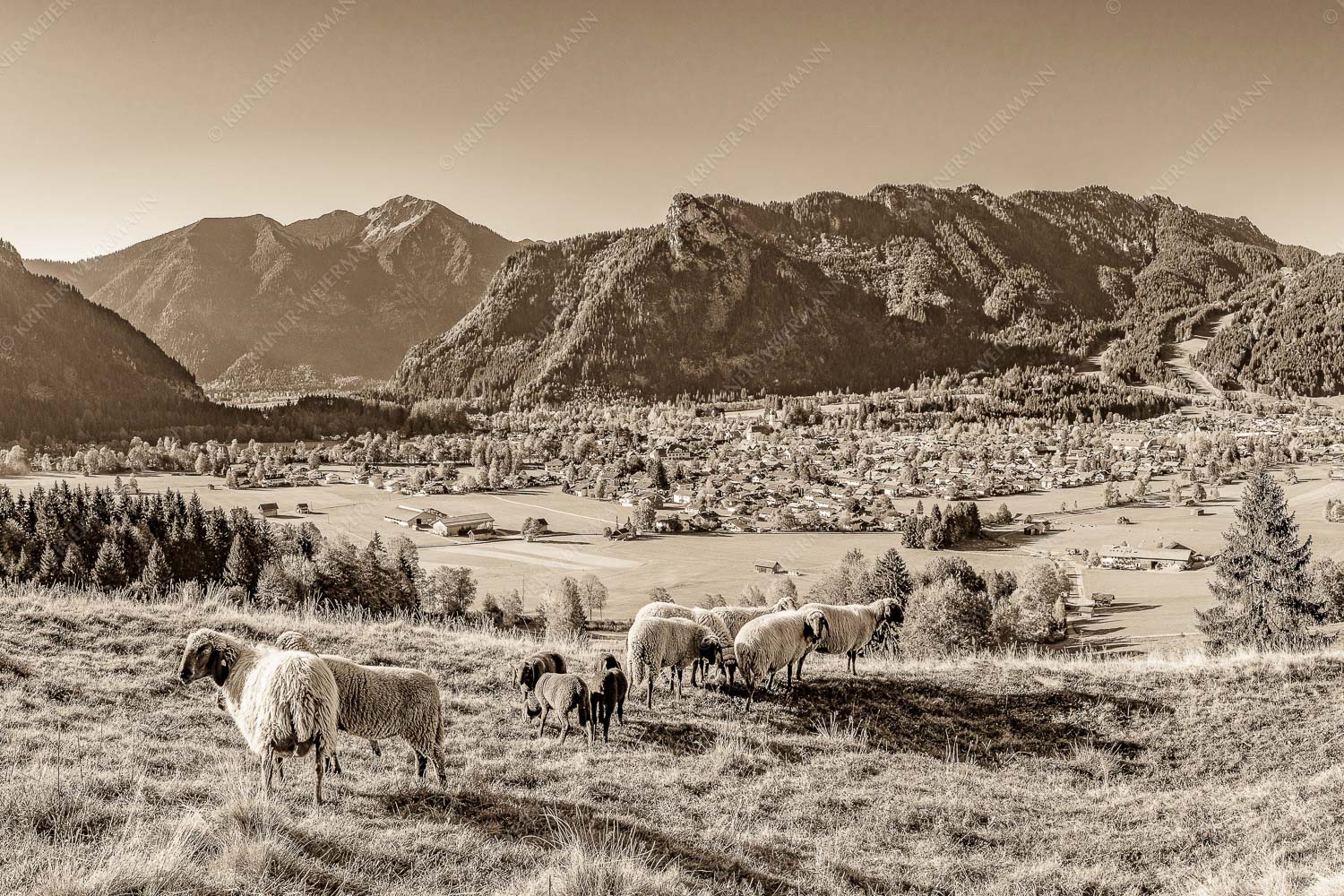 Blick über Oberammergau zum Kofel im Ammergebirge - Bergschafe Oberammergau 3:2 sepia -- Schafe mit Kofel - mehr Infos bei www.Kriner-Weiermann.de