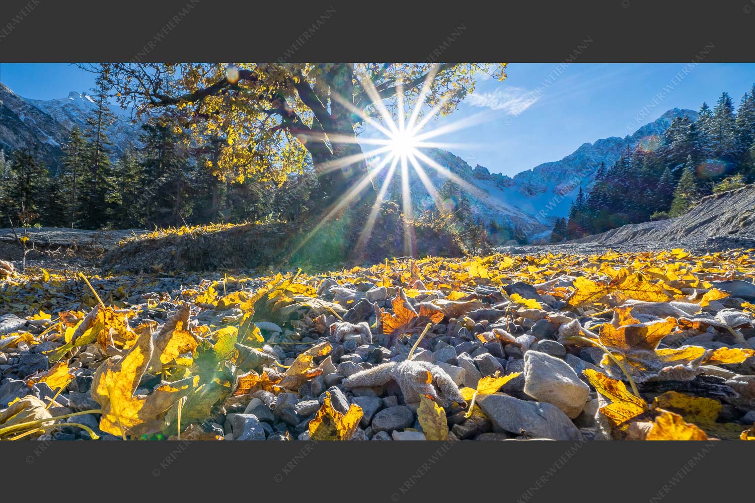 Ahorn im Eppzirlertal im Karwendelgebirge - Blätter im Bach 2:1  -- Herbstliche Ahornblätter im Karwendel - mehr Infos bei www.Kriner-Weiermann.de