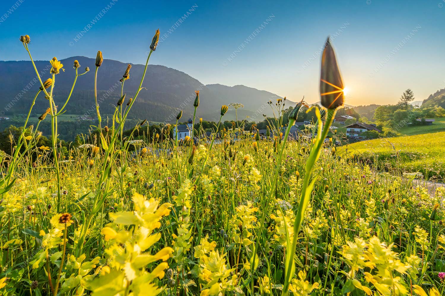 Blick über Wamberg in den Sonnenaufgang - Blumenwiese Wamberg II 3:2  -- Kirche in Wamberg - mehr Infos bei www.Kriner-Weiermann.de