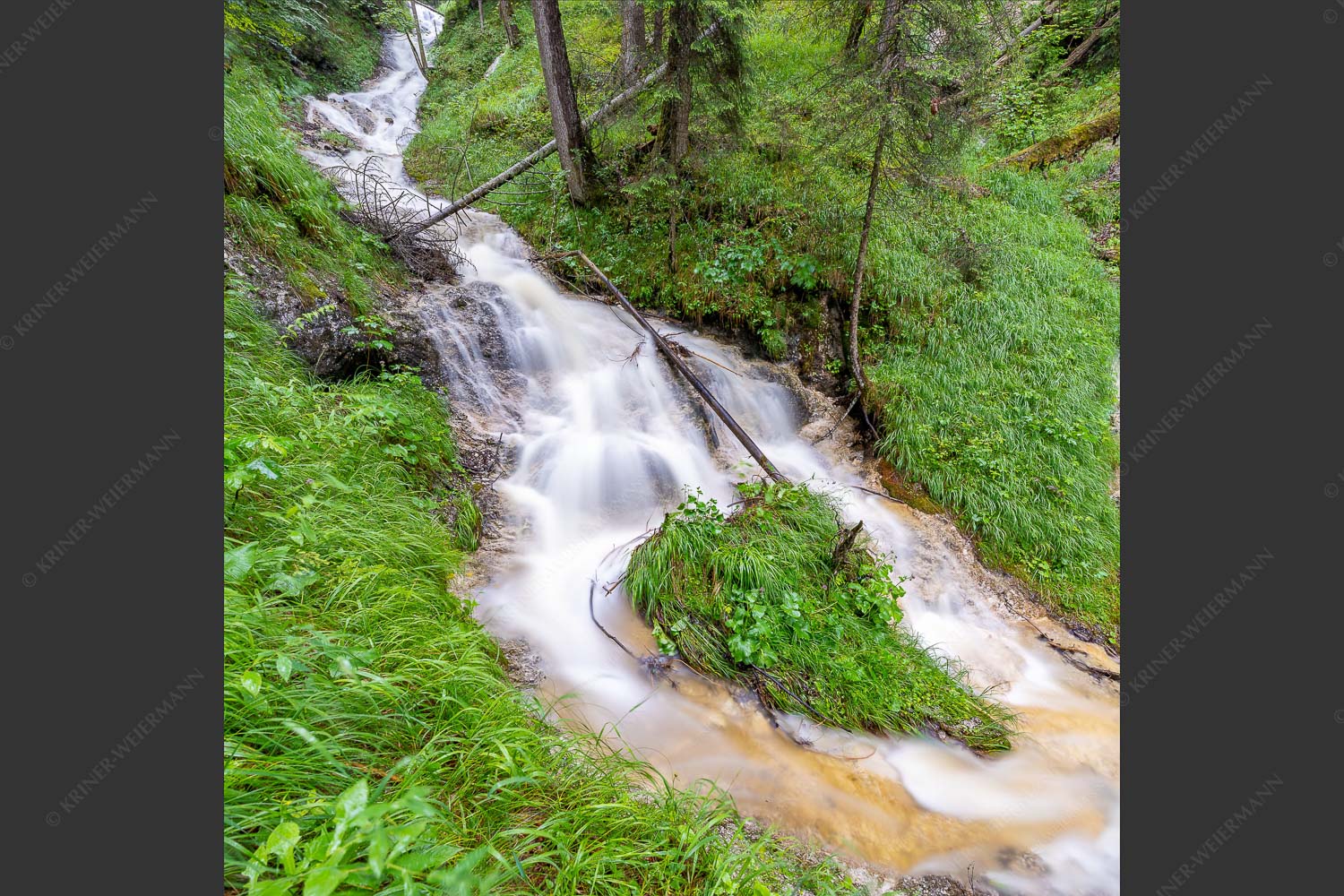 Gebirgsbach nach Gewitterregen - Herzlich 1:1  -- Bach im Wald - mehr Infos bei www.Kriner-Weiermann.de