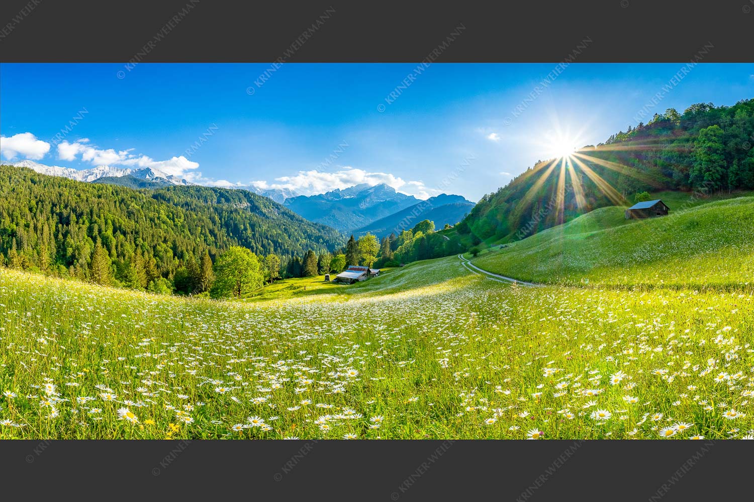 Blick von Hintergraseck zur Alpspitze im Wetterstein - Hintergraseck Wiese I 2:1  -- Blumenwiese - mehr Infos bei www.Kriner-Weiermann.de