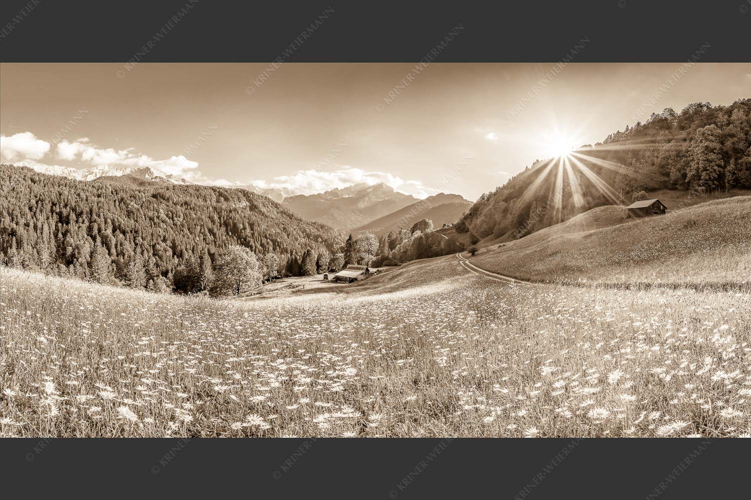 Blick von Hintergraseck zur Alpspitze im Wetterstein - Hintergraseck Wiese I 2:1 sepia -- Blumenwiese - mehr Infos bei www.Kriner-Weiermann.de