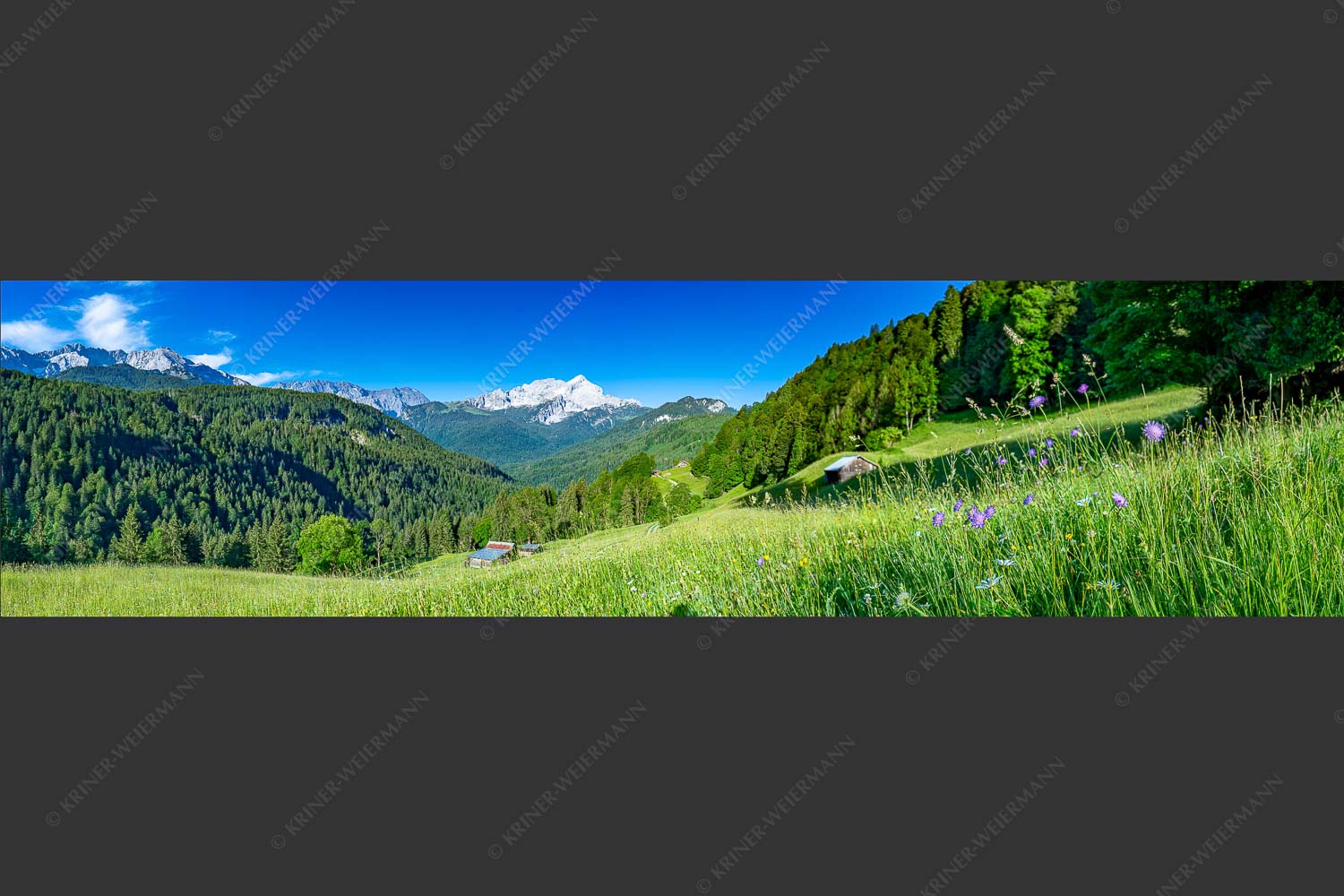 Blick über Wiesmahd zur Alpspitze im Wetterstein - Hintergraseckpanorama 4:1  -- Wetterstein - mehr Infos bei www.Kriner-Weiermann.de