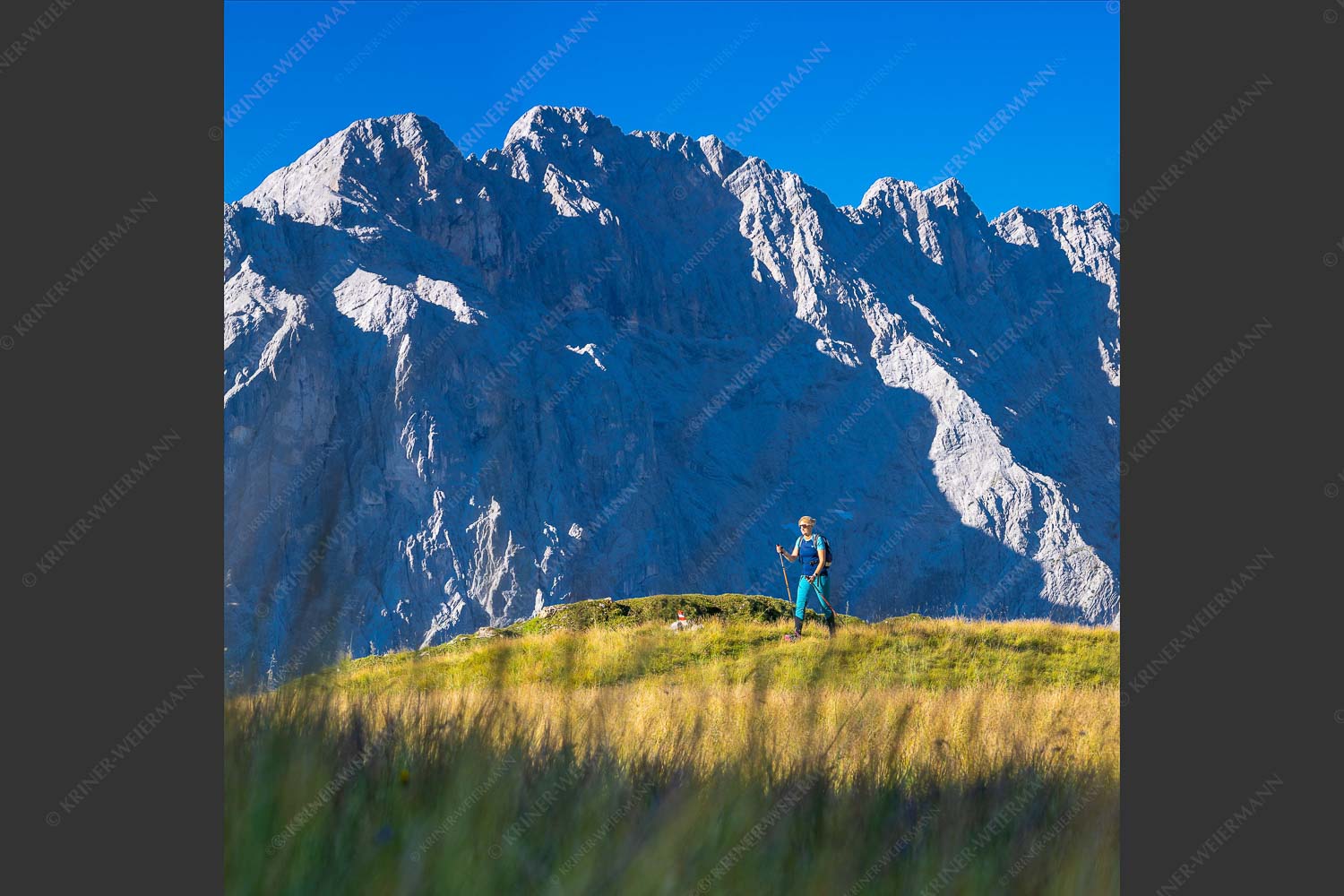 Bergwanderung zum Sunntiger im Karwendelgebirge - Hohe Wiesen 1:1  -- Wandern im Karwendel - mehr Infos bei www.Kriner-Weiermann.de