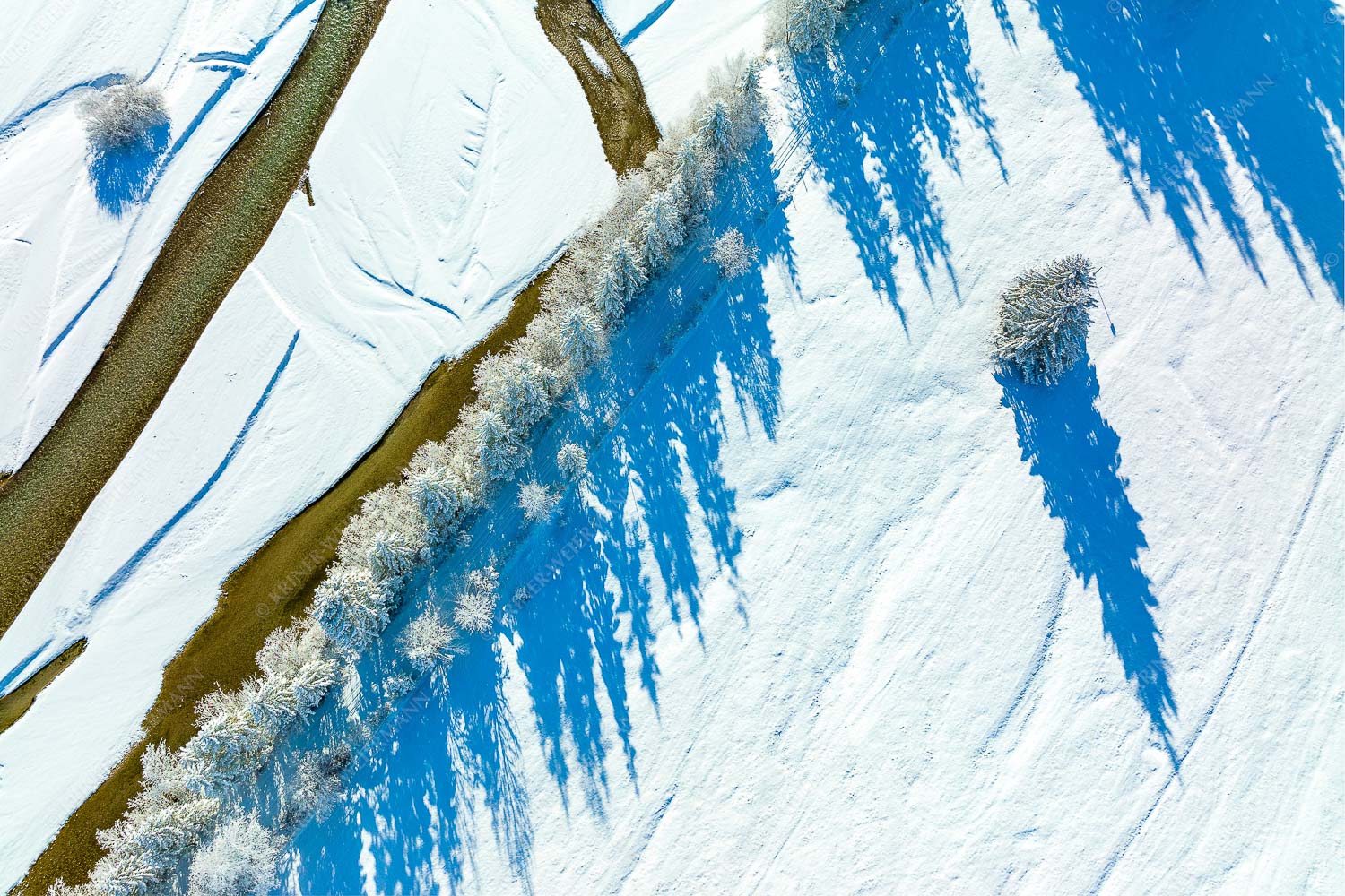 Isar, Bäume und Schatten - Isarbaumreihe 3:2  -- Isar im Winter - mehr Infos bei www.Kriner-Weiermann.de