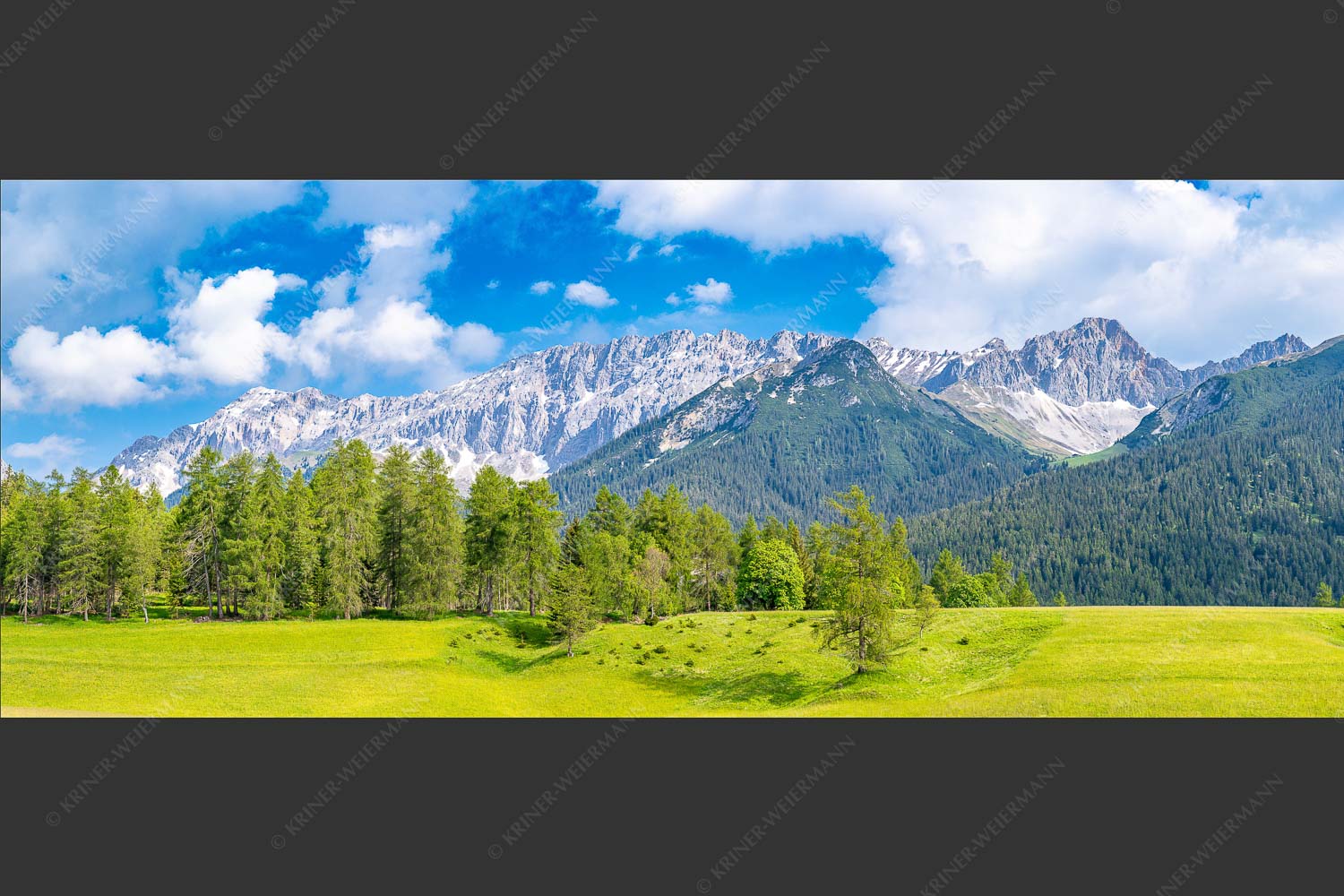 Blick über Lärchenwald zur Wettersteinsüdseite - Leutascher Lärchen vor Wetterstein 2,5:1  -- Leutasch - mehr Infos bei www.Kriner-Weiermann.de