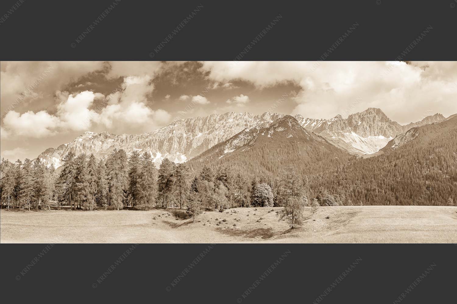 Blick über Lärchenwald zur Wettersteinsüdseite - Leutascher Lärchen vor Wetterstein 2,5:1 sepia -- Leutasch - mehr Infos bei www.Kriner-Weiermann.de