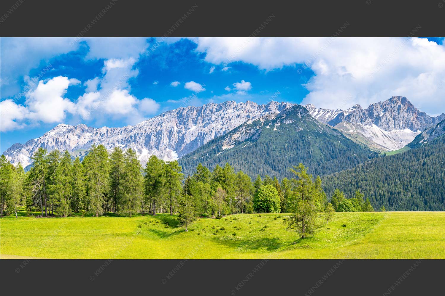 Blick über Lärchenwald zur Wettersteinsüdseite - Leutascher Lärchen vor Wetterstein 2:1  -- Leutasch - mehr Infos bei www.Kriner-Weiermann.de