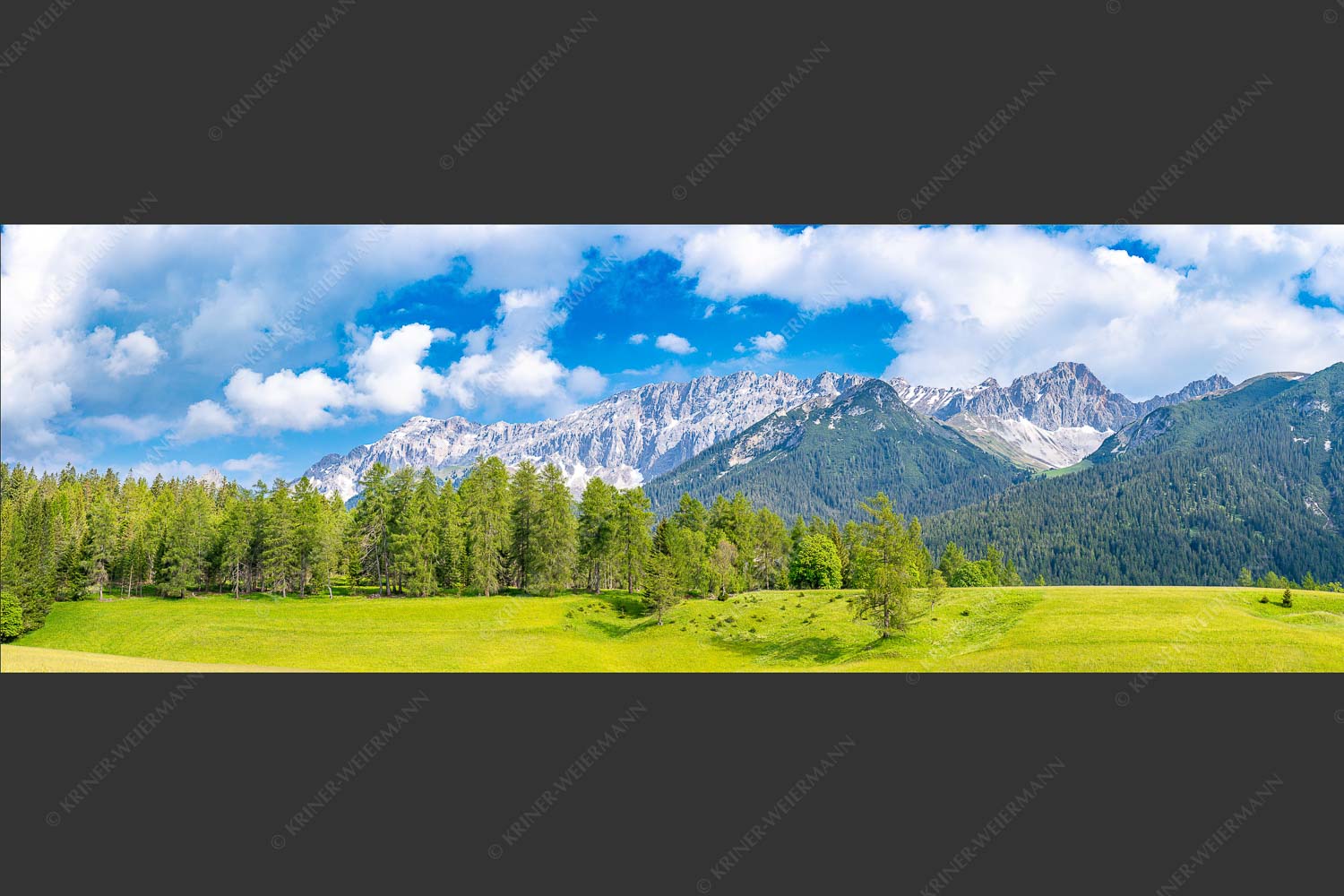 Blick über Lärchenwald zur Wettersteinsüdseite - Leutascher Lärchen vor Wetterstein 3:1  -- Leutasch - mehr Infos bei www.Kriner-Weiermann.de