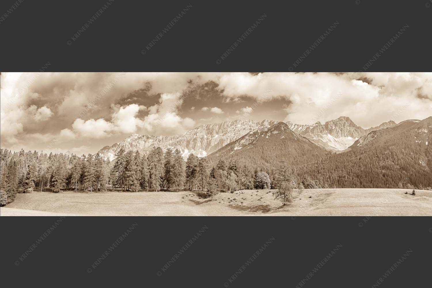 Blick über Lärchenwald zur Wettersteinsüdseite - Leutascher Lärchen vor Wetterstein 3:1 sepia -- Leutasch - mehr Infos bei www.Kriner-Weiermann.de