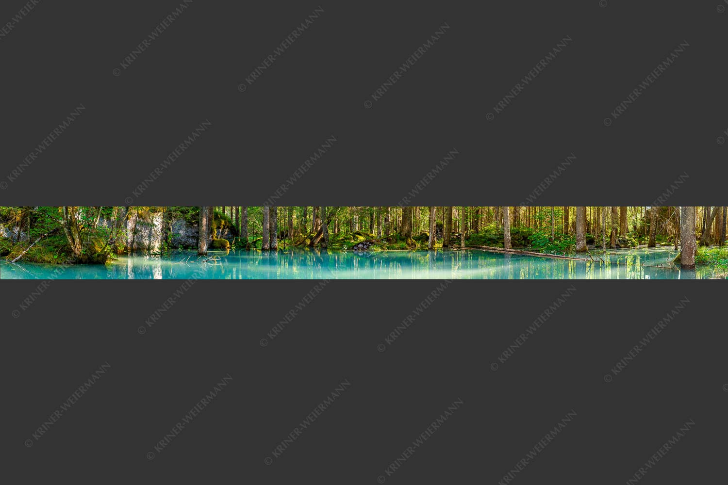 Überschwemmte Waldflächen an der Partnach - Partnachmangroven II 10:1  -- Wasser im Wald - mehr Infos bei www.Kriner-Weiermann.de