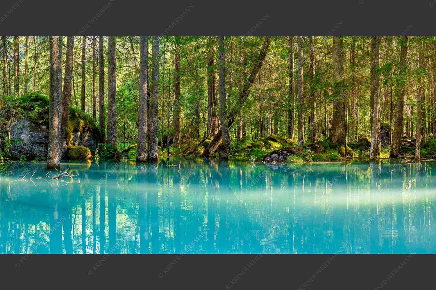 Überschwemmte Waldflächen an der Partnach - Partnachmangroven II 2:1  -- Wasser im Wald - mehr Infos bei www.Kriner-Weiermann.de