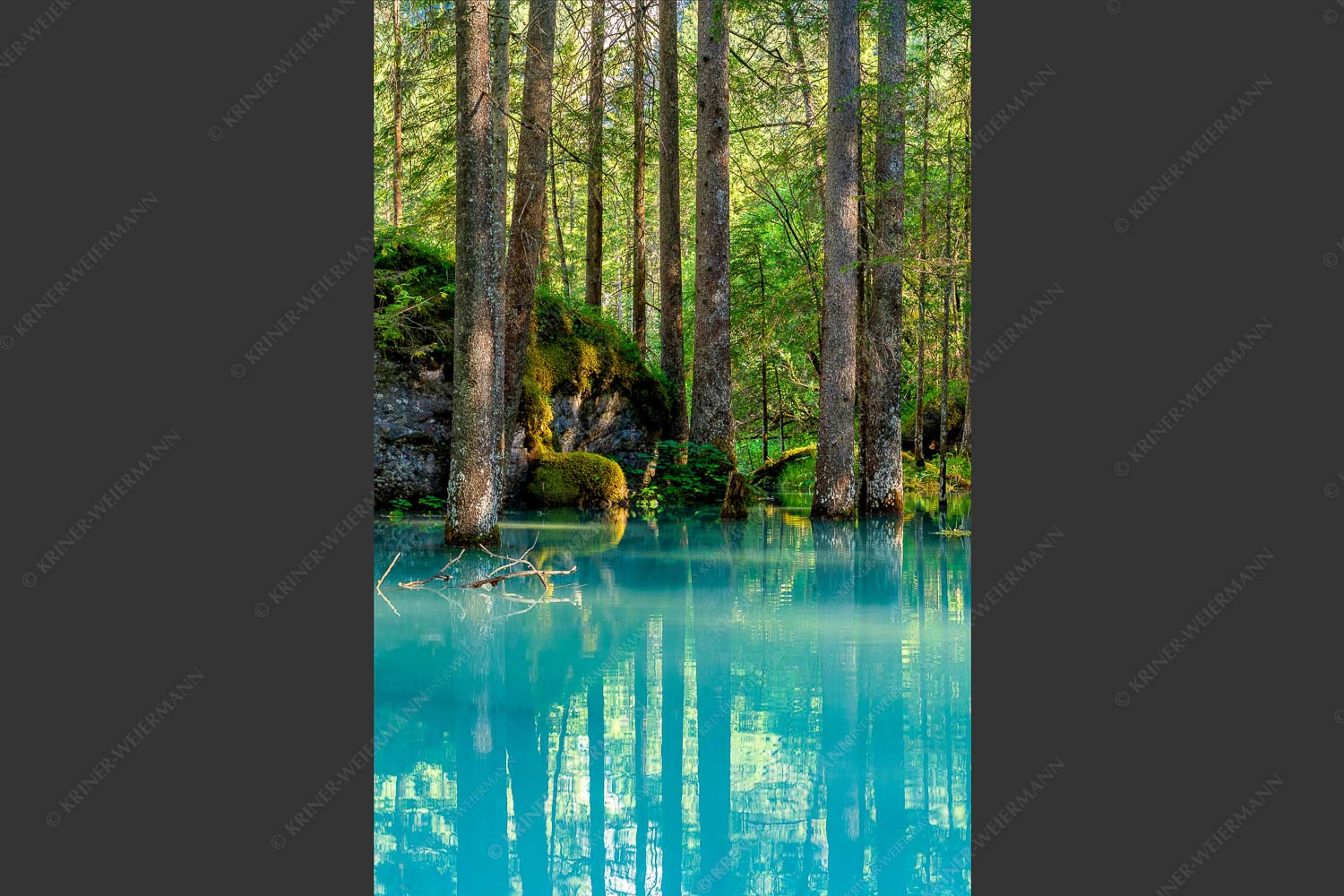 Überschwemmte Waldflächen an der Partnach - Partnachmangroven II 2:3  -- Wasser im Wald - mehr Infos bei www.Kriner-Weiermann.de