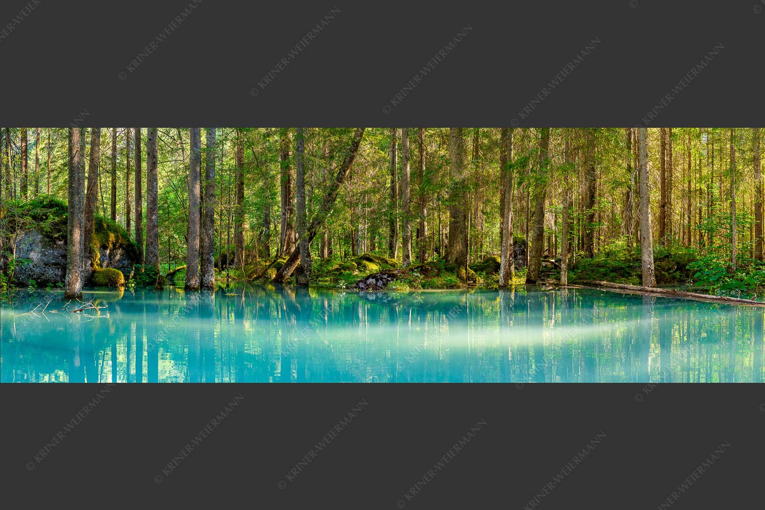 Überschwemmte Waldflächen an der Partnach - Partnachmangroven II 3:1  -- Wasser im Wald - mehr Infos bei www.Kriner-Weiermann.de