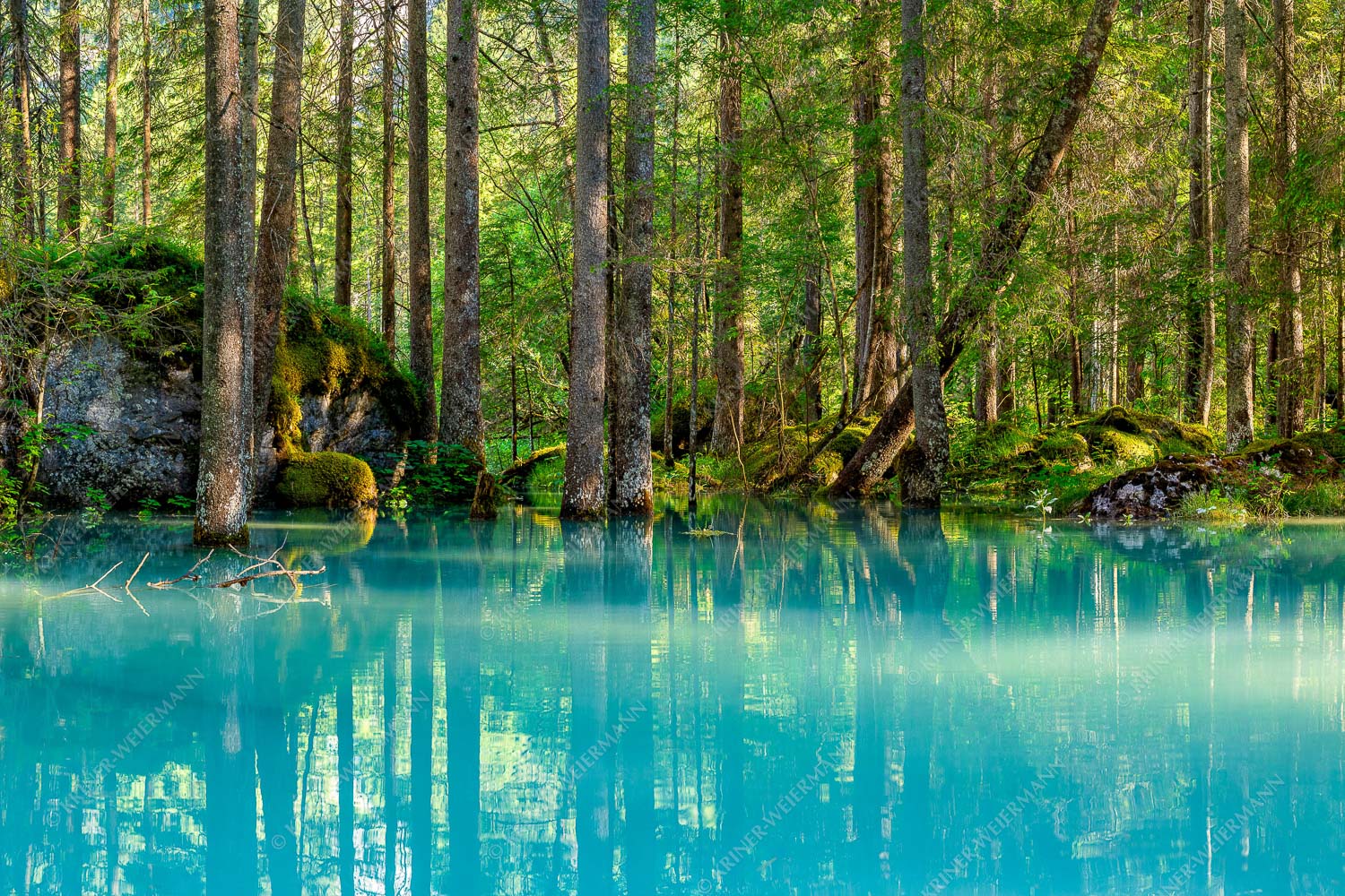 Überschwemmte Waldflächen an der Partnach - Partnachmangroven II 3:2  -- Wasser im Wald - mehr Infos bei www.Kriner-Weiermann.de