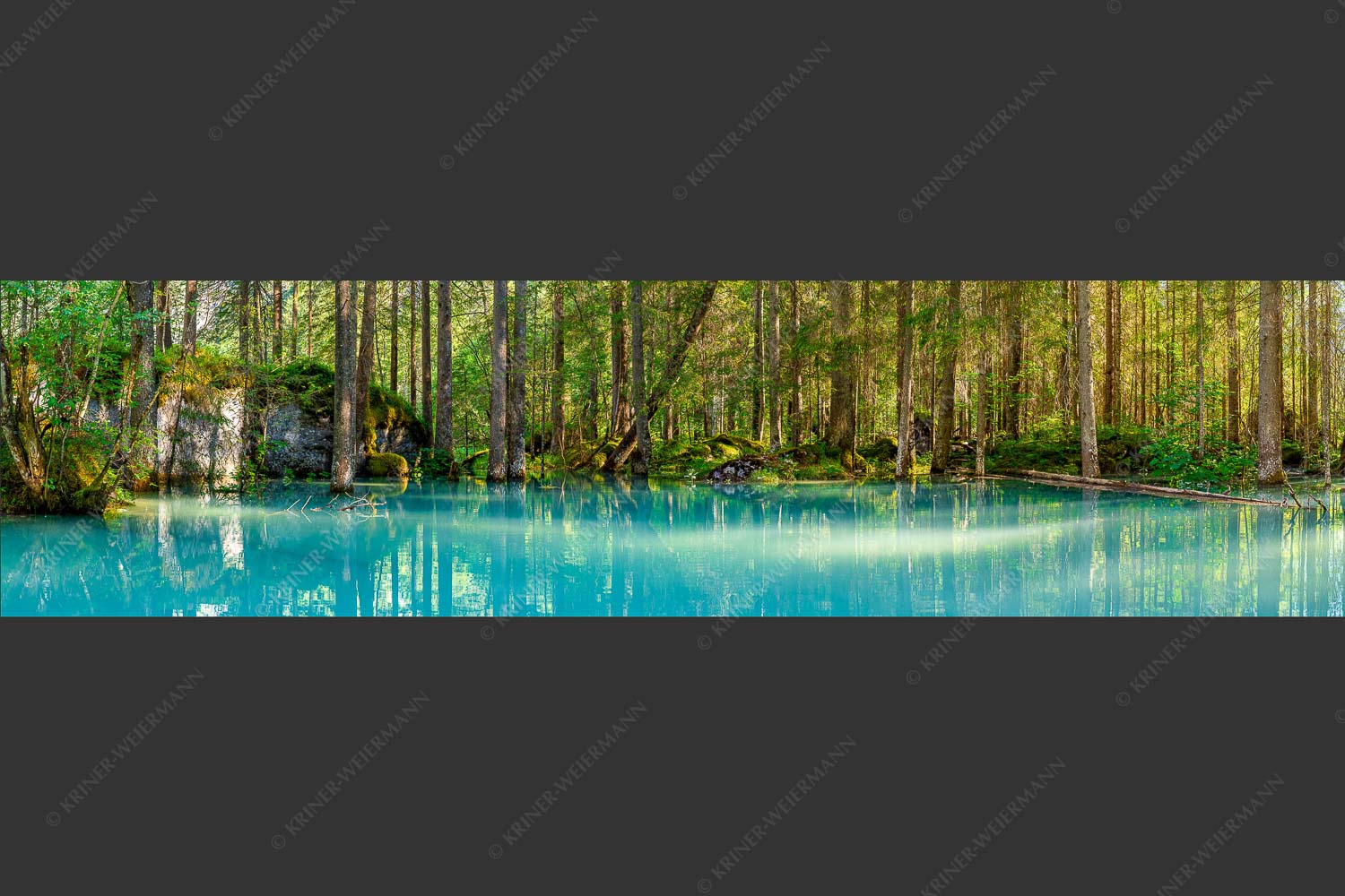 Überschwemmte Waldflächen an der Partnach - Partnachmangroven II 4:1  -- Wasser im Wald - mehr Infos bei www.Kriner-Weiermann.de