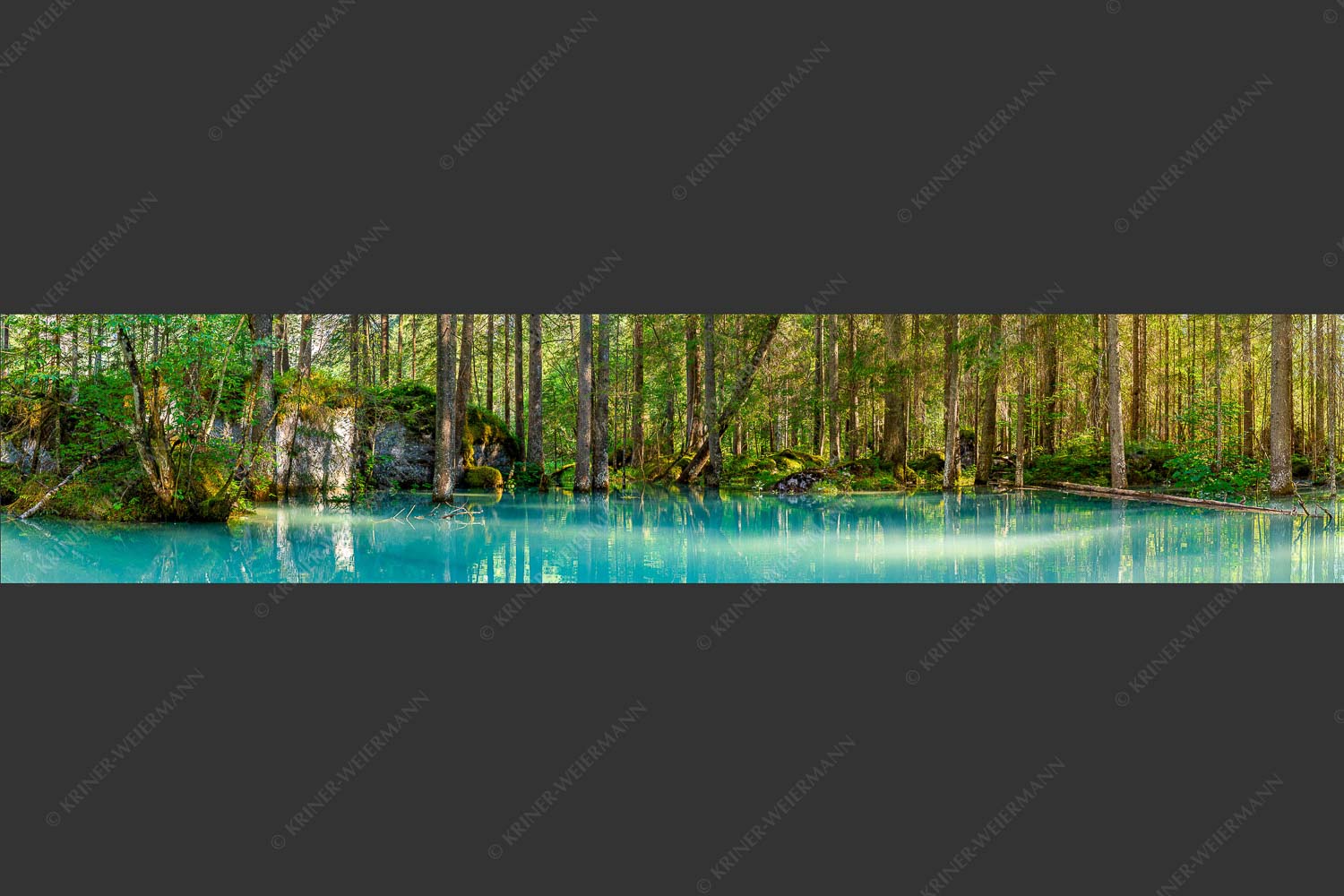 Überschwemmte Waldflächen an der Partnach - Partnachmangroven II 5:1  -- Wasser im Wald - mehr Infos bei www.Kriner-Weiermann.de