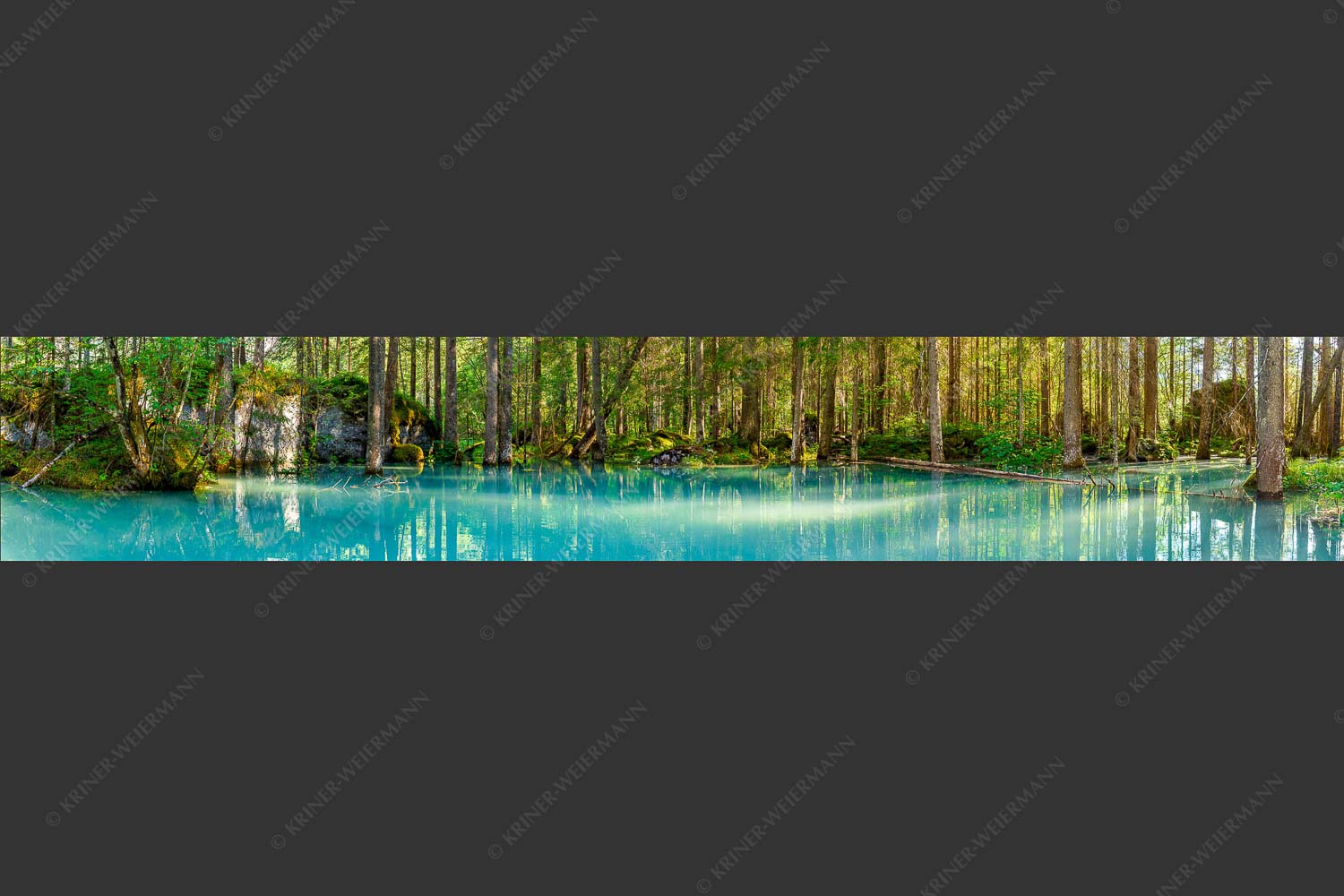 Überschwemmte Waldflächen an der Partnach - Partnachmangroven II 6:1  -- Wasser im Wald - mehr Infos bei www.Kriner-Weiermann.de