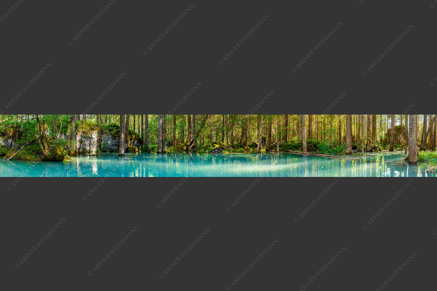 Überschwemmte Waldflächen an der Partnach - Partnachmangroven II 7:1  -- Wasser im Wald - mehr Infos bei www.Kriner-Weiermann.de