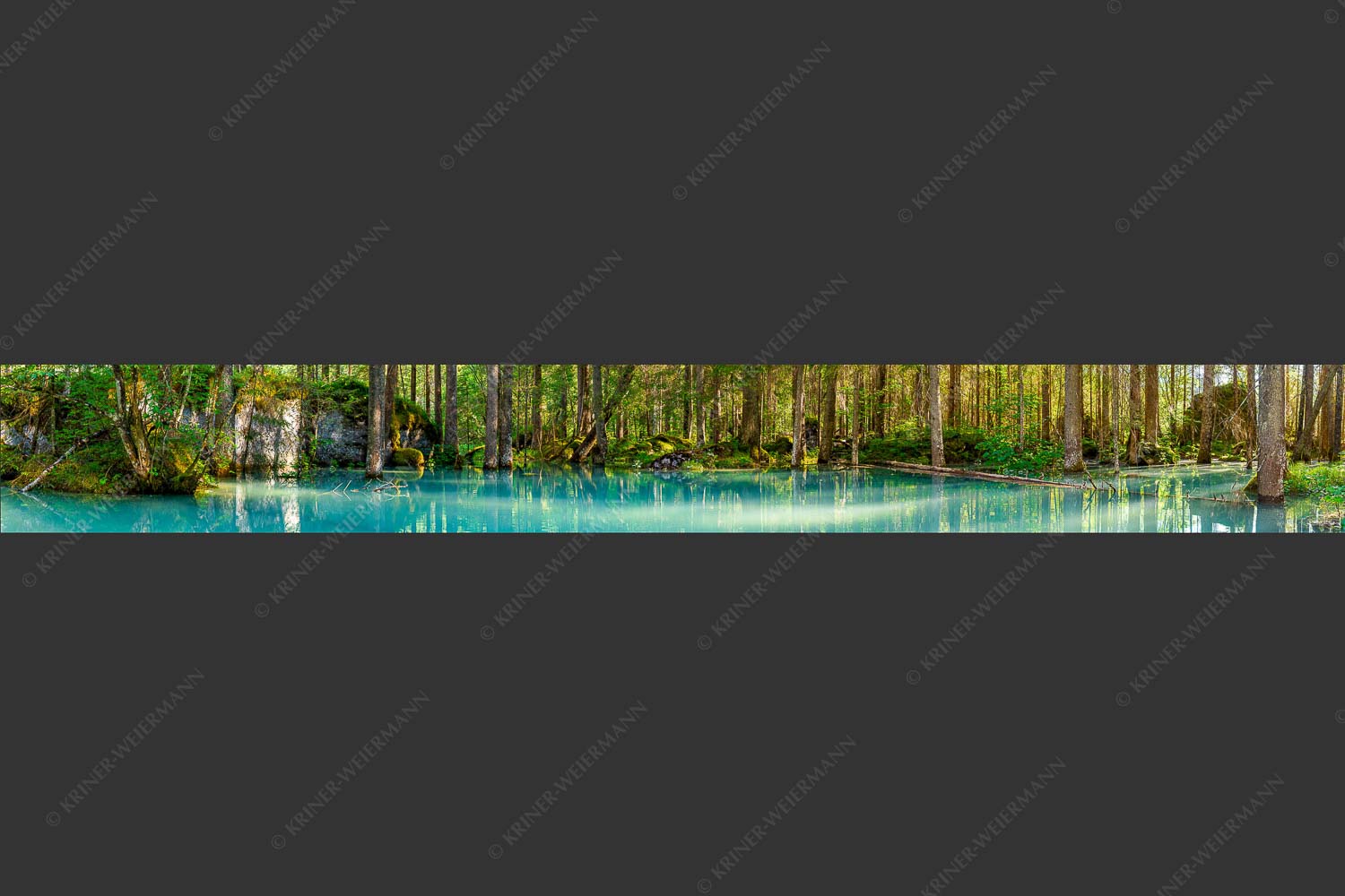 Überschwemmte Waldflächen an der Partnach - Partnachmangroven II 8:1  -- Wasser im Wald - mehr Infos bei www.Kriner-Weiermann.de