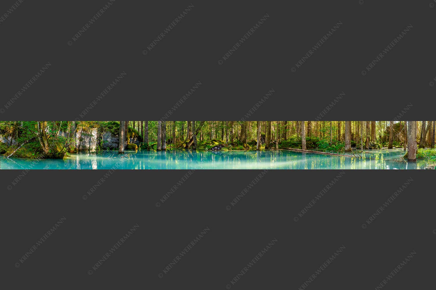 Überschwemmte Waldflächen an der Partnach - Partnachmangroven II 9:1  -- Wasser im Wald - mehr Infos bei www.Kriner-Weiermann.de