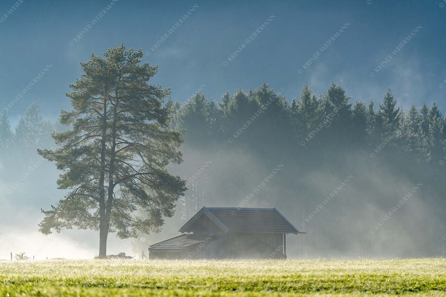 Heustadel im Morgennebel - Stadel im Nebel 3:2  -- Baum Hütte Nebel - mehr Infos bei www.Kriner-Weiermann.de