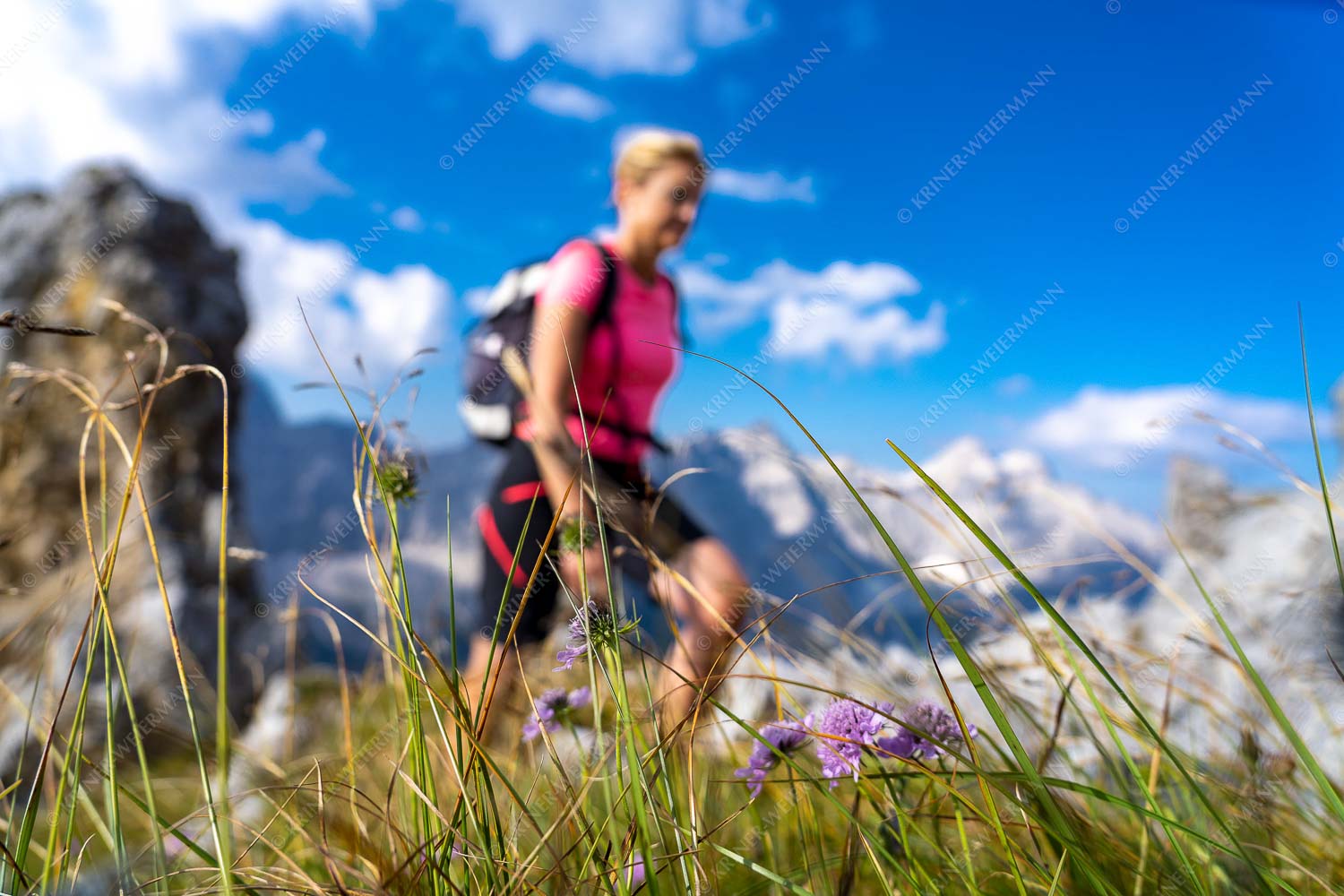 Beeindruckende Wanderung zum Steinfalk - Steinfalk Wanderung IV 3:2  -- Bergwandern im Karwendel - mehr Infos bei www.Kriner-Weiermann.de