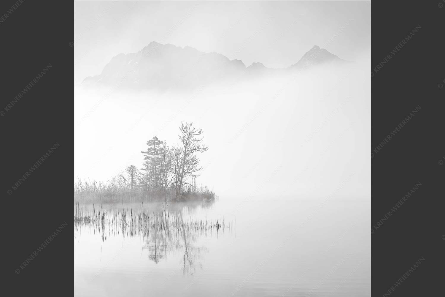 Blick über den Barmsee zum Wörner und Tiefkarspitze im Karwendelgebirge - Zwischen Spiegel und Schleier 1:1 sw -- Barmsee mit Karwendel - mehr Infos bei www.Kriner-Weiermann.de